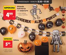 Biedronka Girlanda, kościotrup lub pajęczyna oferta