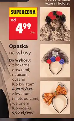 Biedronka Opaska na włosy oferta