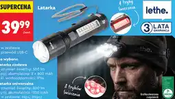 Biedronka Latarka Lethe oferta