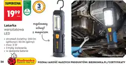 Biedronka Latarka warsztatowa LED Niteo oferta
