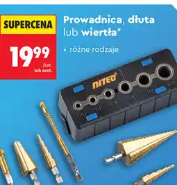 Biedronka Prowadnica, dłuta lub wiertła NITEO oferta
