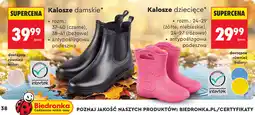Biedronka Kalosze damskie lub dziecięce oferta