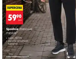 Biedronka Spodnie dresowe męskie Lee Cooper oferta