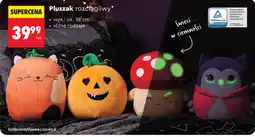 Biedronka Pluszak rozciągliwy oferta