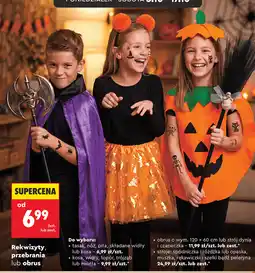 Biedronka Rekwizyty, przebrania lub obrus oferta