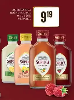 Dino Likier Soplica Różne Rodzaje oferta