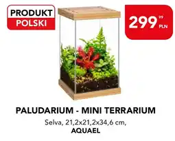 AquaelZOO Paludarium - Mini Terrarium Selva oferta