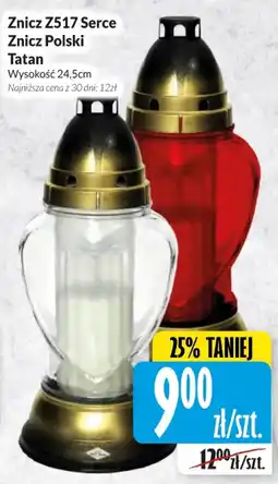 Hala Wola Znicz Polski Tatan oferta