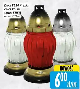 Hala Wola Znicz Polski Tatan oferta