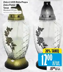 Hala Wola Znicz Polski Tatan Róża Pnąca Tatan oferta