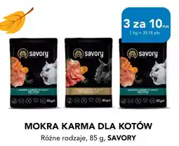 AquaelZOO Mokra karma dla kotów Savory oferta