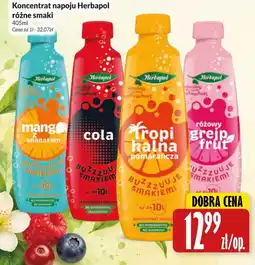 Hala Wola Koncentrat napoju Herbapol różne smaki oferta