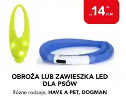 AquaelZOO Obroża lub zawieszka LED dla psów, Have a Pet, Dogman oferta
