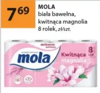 Mola Kwitnąca magnolia