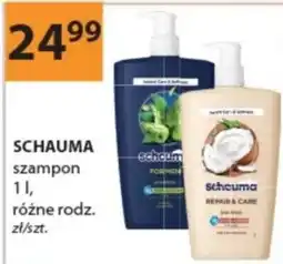 Drogerie Laboo Schauma szampon oferta