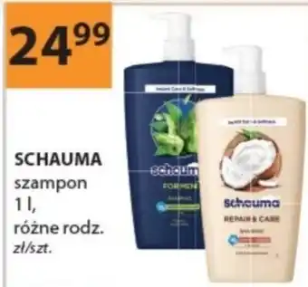 Schauma szampon