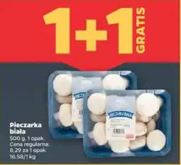 Netto Pieczarka biała oferta