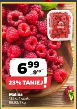 Netto Malina oferta