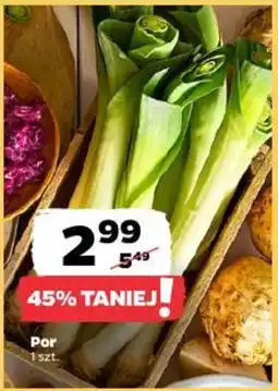 Netto Szczypiorek oferta