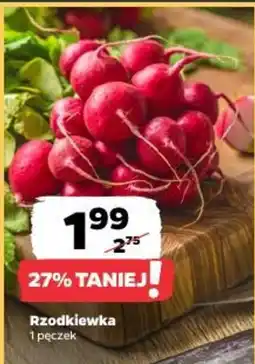 Netto Rzodkiewka oferta