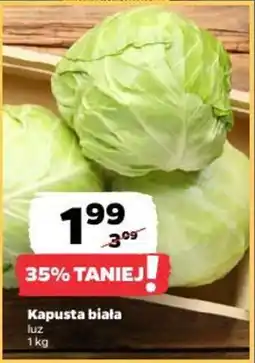 Netto Kapusta biała oferta