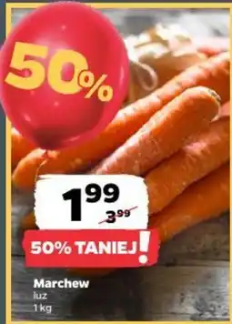 Netto Marchew luz oferta