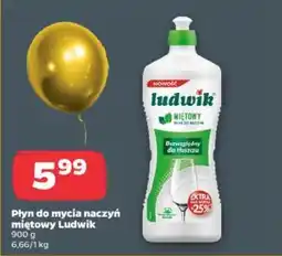 Netto Płyn do mycia naczyń miętowy Ludwik oferta