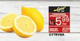 Wafelek Cytryna oferta