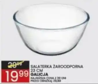 Salaterka Żaroodporna Galicja
