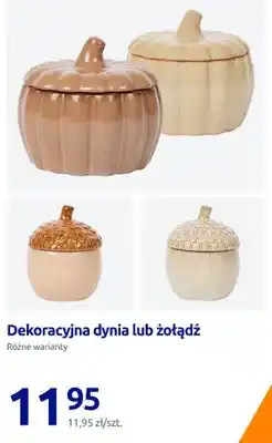 Action Dekoracyjna dynia oferta