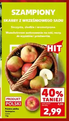 Jabłka polskie Szampion