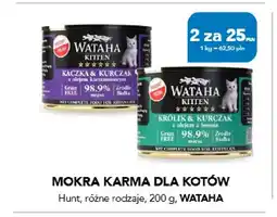 AquaelZOO Mokra karma dla kotów Hunt Wataha oferta