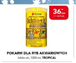 AquaelZOO Pokarm dla ryb akwariowych Ichtio-vit Tropical oferta