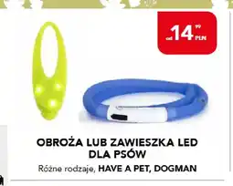 AquaelZOO Obroża LED dla psów Have a Pet Dogman oferta
