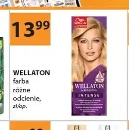 Drogerie Laboo Farba do włosów Wellaton oferta