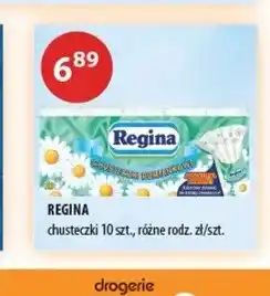 Drogerie Laboo Chusteczki higieniczne 10-pak Regina oferta