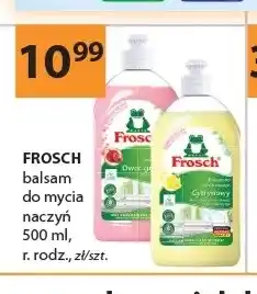 Drogerie Laboo Balsam do mycia naczyń Frosch oferta