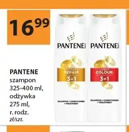 Drogerie Laboo Odżywka Pantene oferta