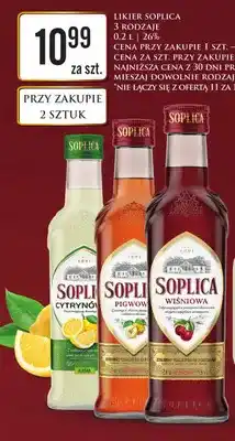Dino Likier Soplica pigwowa oferta