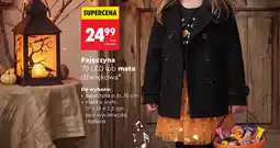Biedronka Pajęczyna 70 LED oferta