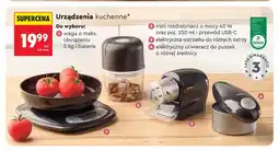 Biedronka Mini rozdrabniacz Hoffen oferta