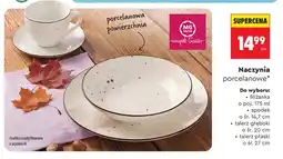 Biedronka Filiżanka porcelanowa 175 ml Mg Home oferta