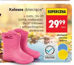 Biedronka Kalosze dziecięce oferta