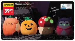 Biedronka Pluszak rozciągliwy wys. 38 cm oferta