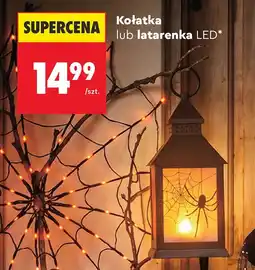 Biedronka Latarenka oferta