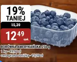bi1 Borówka Amerykańska oferta