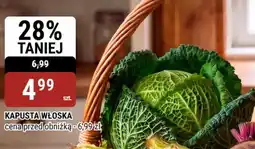 bi1 Kapusta Włoska oferta