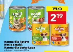 Lewiatan Karma dla kotów Kocie smaki z drobiem oferta