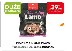 AquaelZOO Przysmak dla ptaków Dogman oferta
