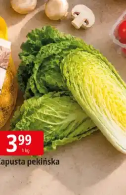 E.Leclerc Kapusta pekińska oferta